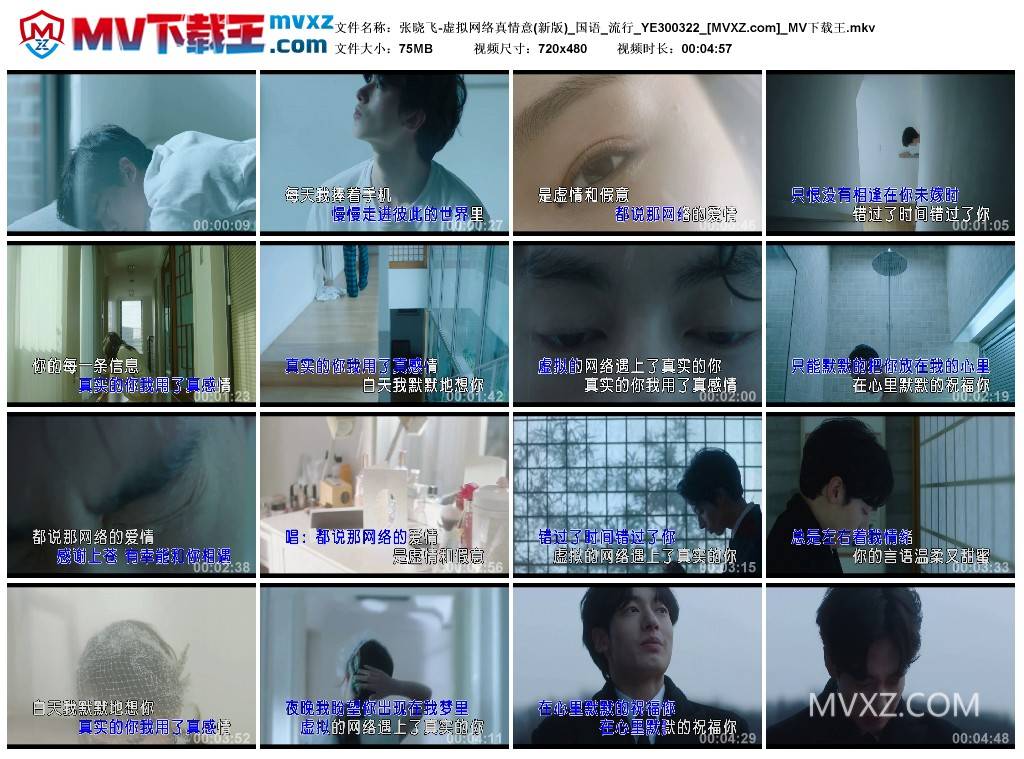 张晓飞-虚拟网络真情意(新版)_国语_流行_YE300322